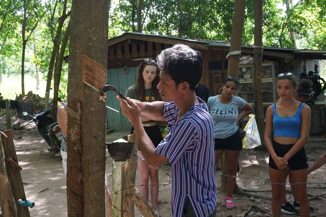 Koh Samui Jungle Safari Tour - Ta Nim Magic Garden: Heaven’s Garden with time to wander