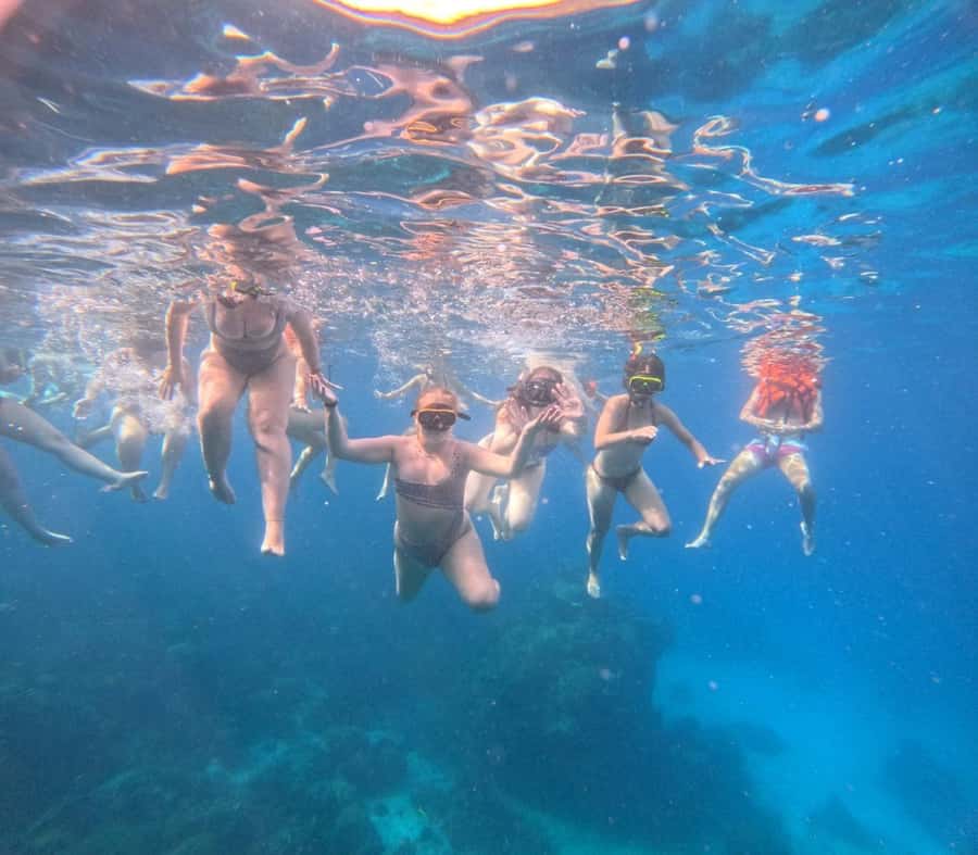 Koh Samui: Ko Tao & Nang Yuan Premium Tour Lunch & Transfer - Key things to know before you go