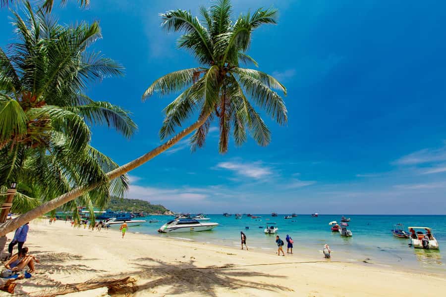 Koh Samui: Ko Tao & Nang Yuan Premium Tour Lunch & Transfer - Price and logistics: what you’re really paying for