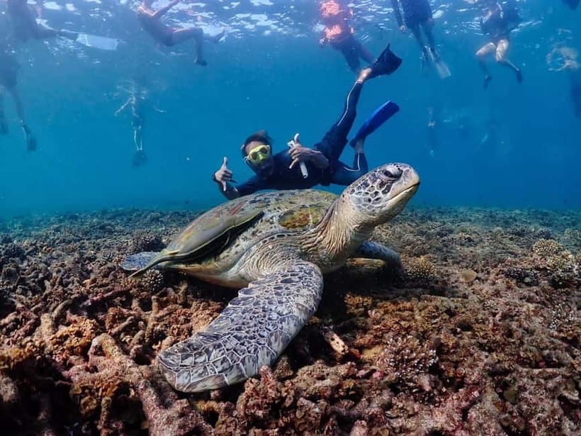 Koh Samui: Koh Tao and Koh Nang Yuan Speedboat Join Tour - Key things I’d pay attention to