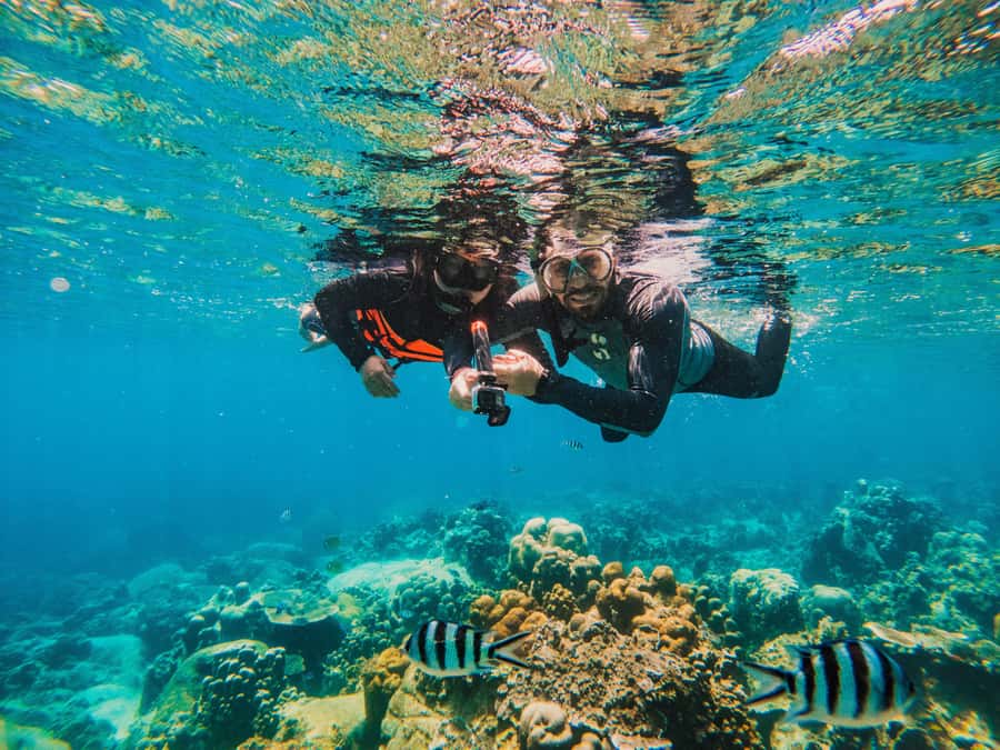 Koh Samui: Koh Tao and Nangyuan Snorkeling Tour with Lunch - Kayaking on the east coast (October to March) or extra snorkel when it’s off