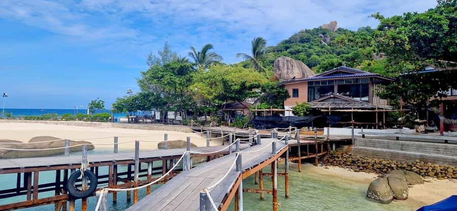 Koh Samui: Koh Tao & Nang Yuan Day Tour with Snorkel, Lunch - Should You Book This Koh Samui to Koh Tao and Nang Yuan Day Tour?