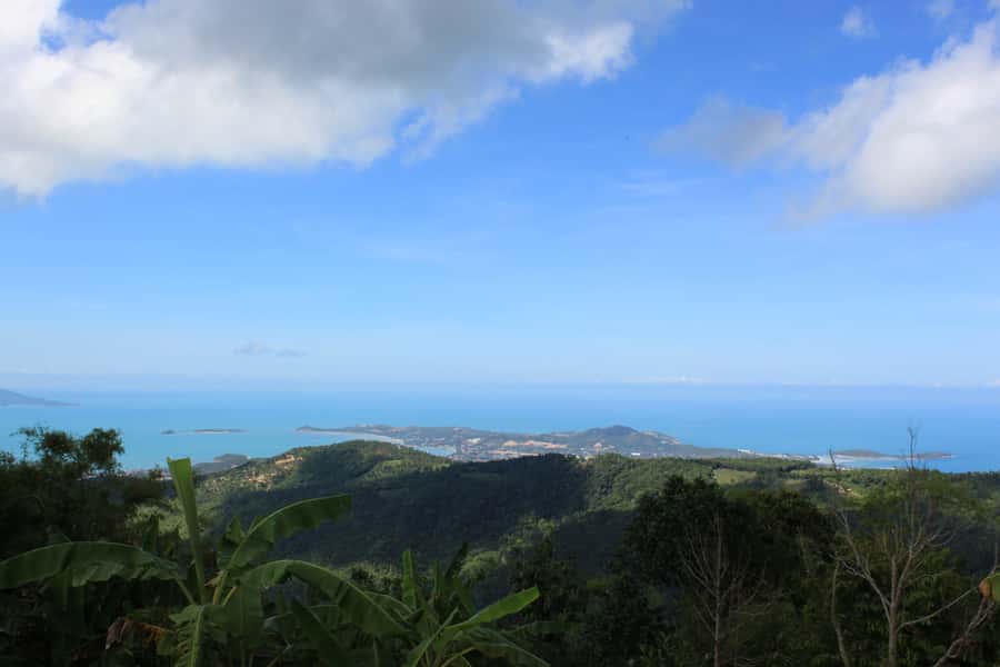 Koh Samui: Mr.Ung's 4WD Wild Jungle Safari Tour with Lunch - Buddha’s Magic Garden (Secret Buddha Garden): art you can walk through