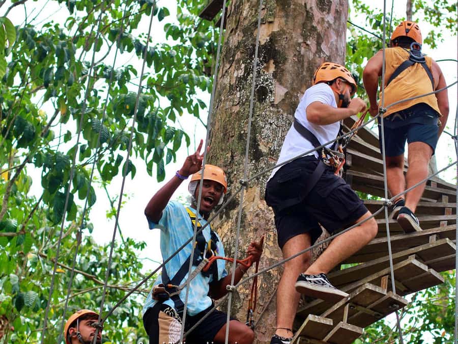 Koh Samui: Panoramic Zipline Experience at Samui Zipline - The jungle views you’ll actually notice