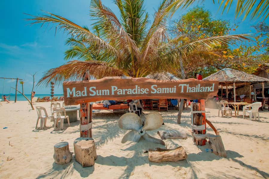 Koh Samui: Pig Island & Koh Tan Speedboat Tour with Lunch - Who this tour fits best (and who should skip it)