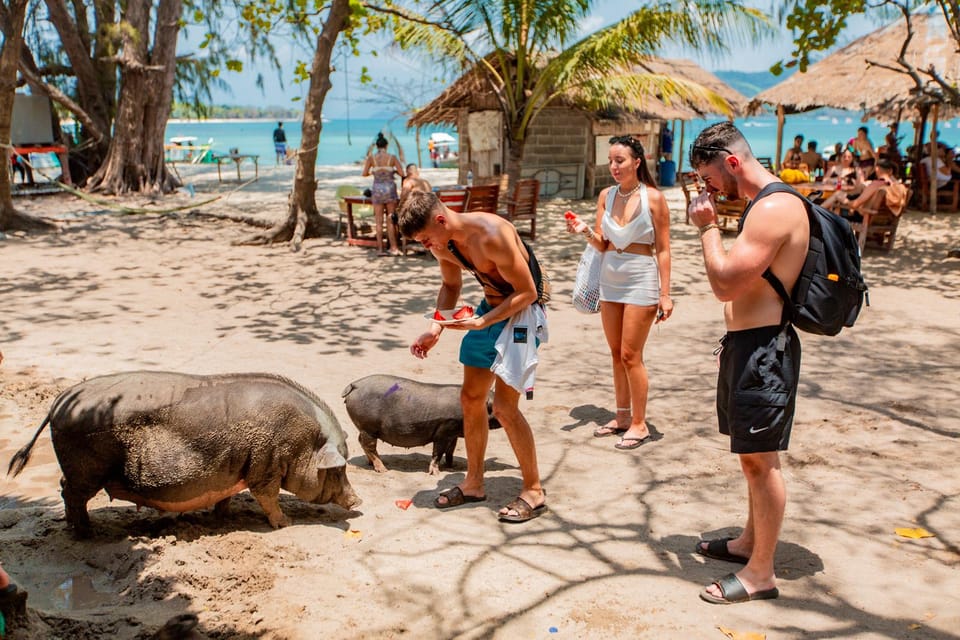 Koh Samui: Pig Island & Koh Tan Speedboat Tour with Lunch - Lunch at the return point: simple Thai food, and yes, it matters