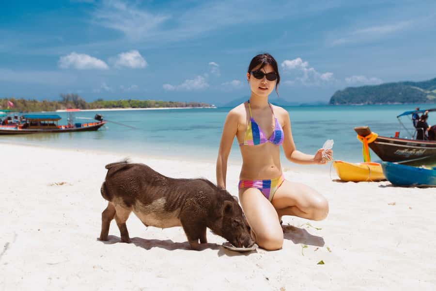 Koh Samui: Pig Island Private Longtail Boat Tour - Key things to know before you go