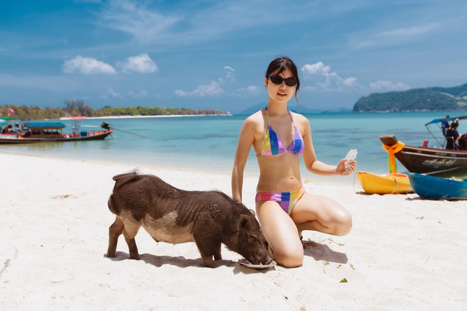Koh Samui: Pig Island Private Longtail Boat Tour - Should you book this Koh Samui Pig Island private longtail tour?
