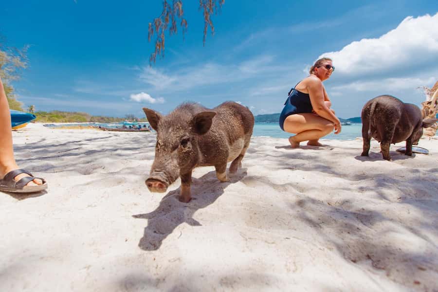 Koh Samui: Pig Island Private Longtail Boat Tour - Private means flexibility: how you can shape the day