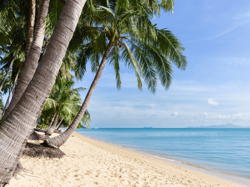 Koh Samui: Private Half-day Taxi Tour in the North - Cocoon Samui View Point: the included ticket moment