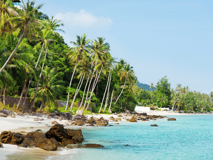 Koh Samui: Private Half-day Taxi Tour in the South - What you’ll actually see: south Samui’s mix of nature, temples, and everyday life
