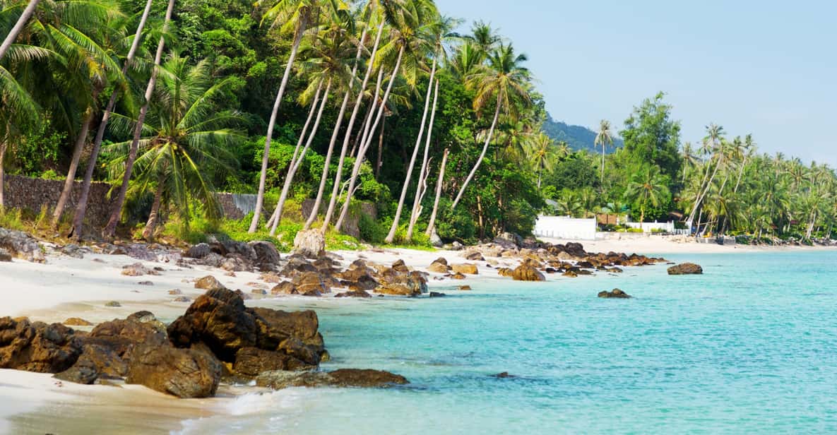 Koh Samui: Private Half-day Taxi Tour in the South - Morning or afternoon: the 4-hour structure that keeps it fun