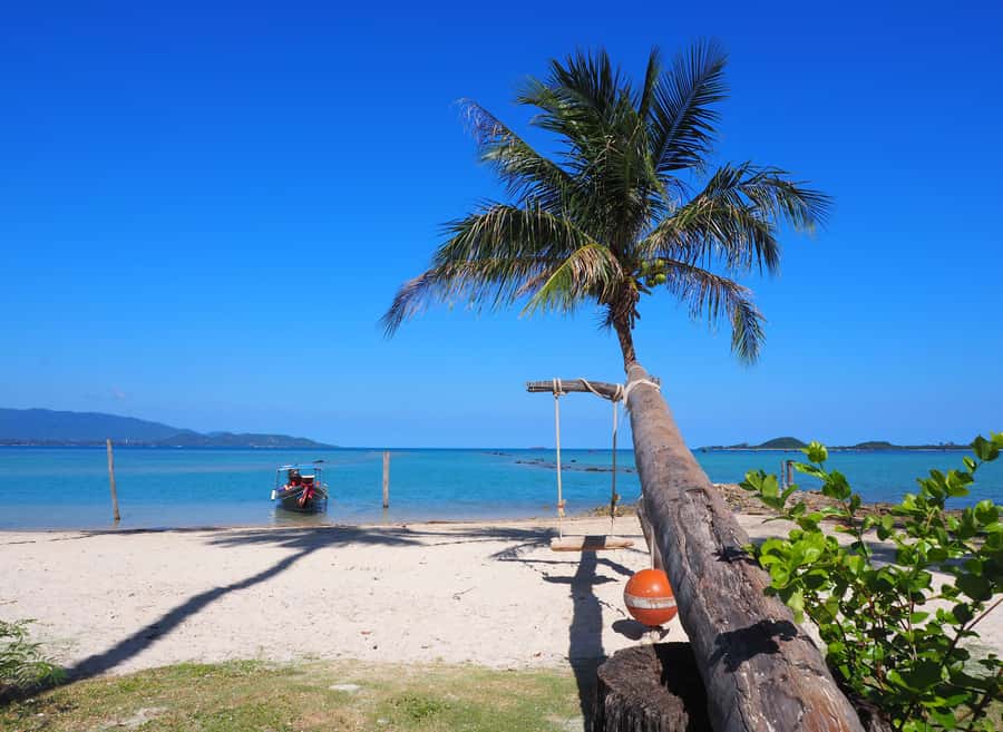 Koh Samui: Private Island Hopping Boat Tour - Customization that should feel personal (and how to make it work)