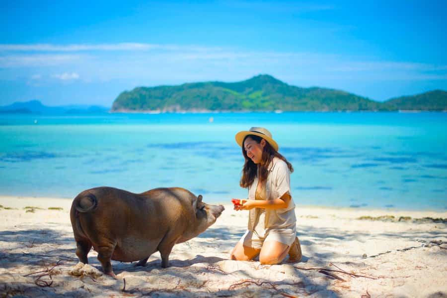 Koh Samui: Private Longtail Boat to Pig Island with Snorkel - Stop 1: Koh Tan Snorkel, If the Sea Lets You