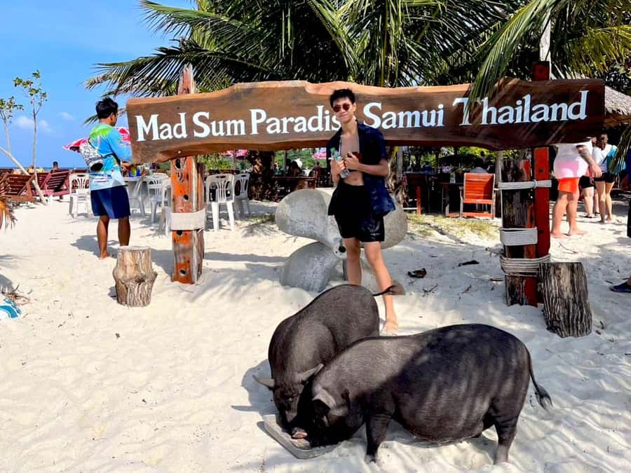 Koh Samui: Private Longtail Boat to Pig Island with Snorkel - Stop 2: Koh Mat Sum (Pig Island) and the White-Sand Beach