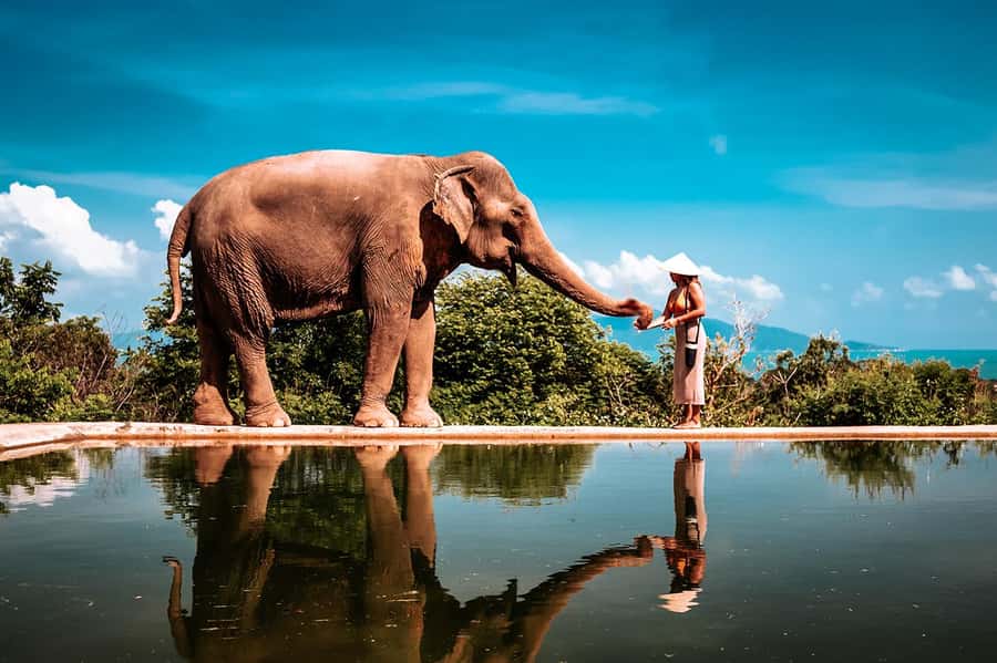 Koh Samui: Private Photoshoot for Couples & Families - Private Koh Samui Photoshoot: what you’re actually buying