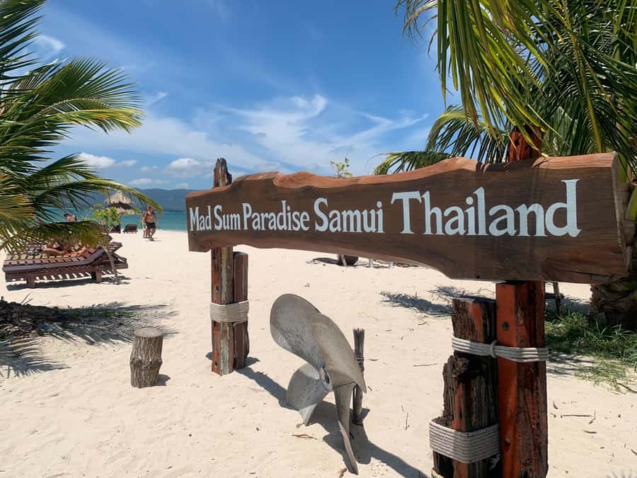 Koh Samui: Private Speedboat to Pig Island with Snorkeling - Price and Logistics: Is It Worth $573 for Up to 8?