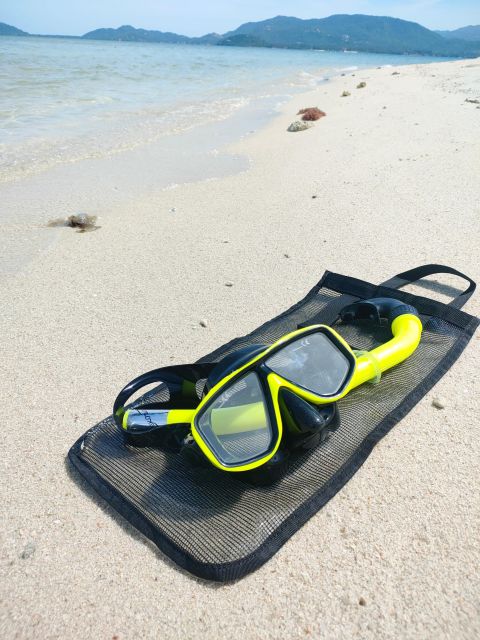 Koh Samui: Private Speedboat to Pig Island with Snorkeling - Should You Book It?