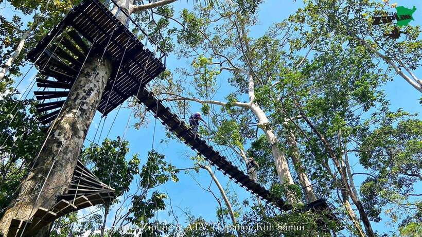 Koh Samui: Samui Zipline Adventure with Transfer service - So, should you book the Koh Samui zipline with transfer?