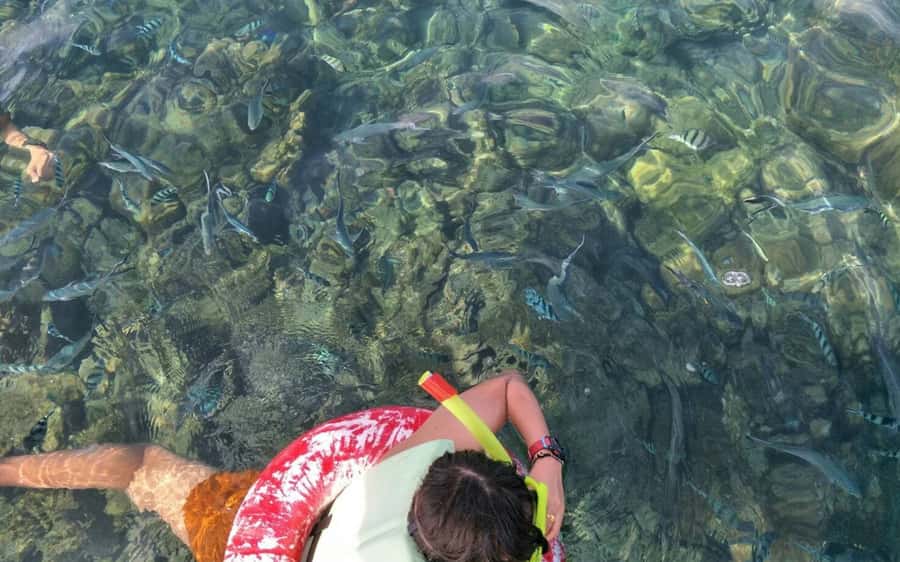 Koh Samui: Snorkeling and Kayaking by Speedboat - Should you book this Koh Samui snorkeling and kayaking speedboat tour?
