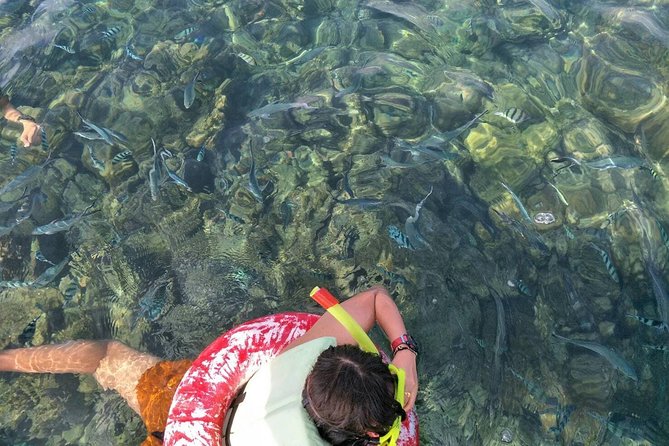 Koh Samui Snorkeling and Kayaking - The speedboat ride: comfort, timing, and what to pack mentally