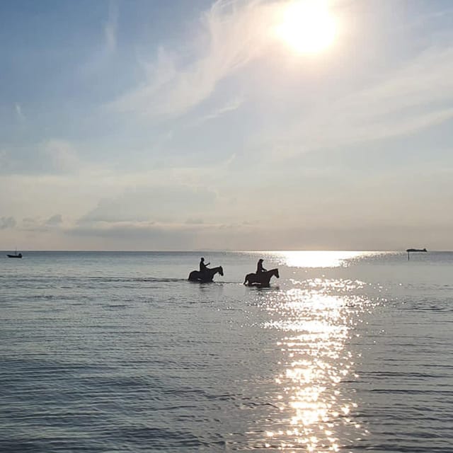 Koh Samui: Sunset Trail Horse Riding on The Beach - Entering The COLTS Office: Check-In Is Part of the Experience