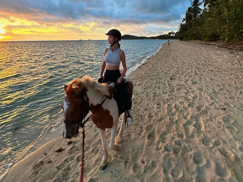 Koh Samui: Sunset Trail Horse Riding on The Beach - Optional Sea Time: When You Might Ride Into the Water