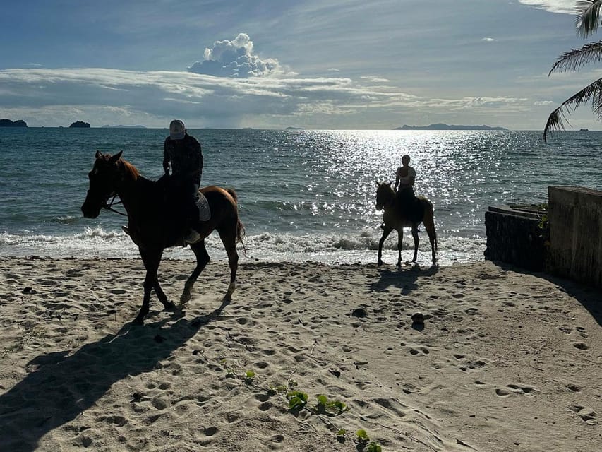 Koh Samui: Sunset Trail Horse Riding on The Beach - Safety Rules You Should Know Before You Mount