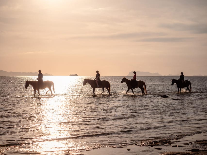 Koh Samui: Sunset Trail Horse Riding on The Beach - What’s Included (and What You’ll Need to Bring Yourself)