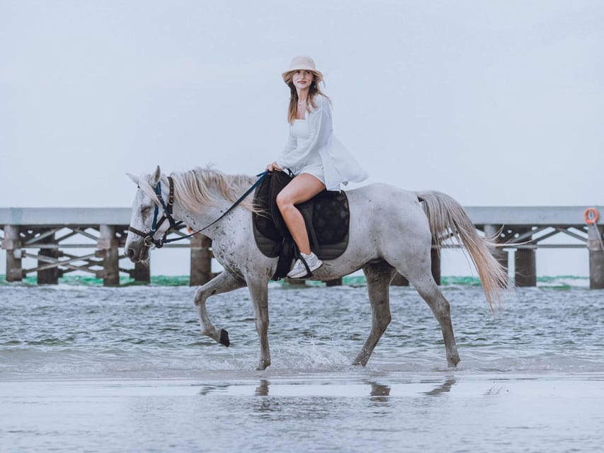 Koh Samui: Sunset Trail Horse Riding on The Beach - Price and Value: Is $103 Worth It on Koh Samui?