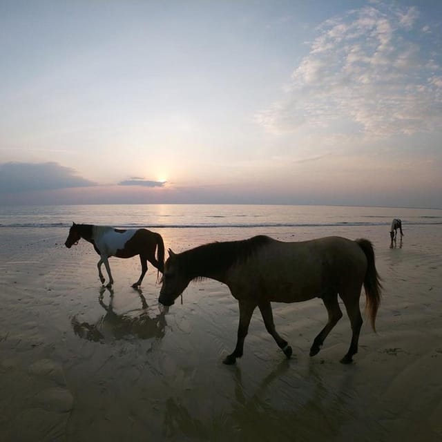 Koh Samui: Sunset Trail Horse Riding on The Beach - Gardens First, Then Laem Yai Beach at Dusk