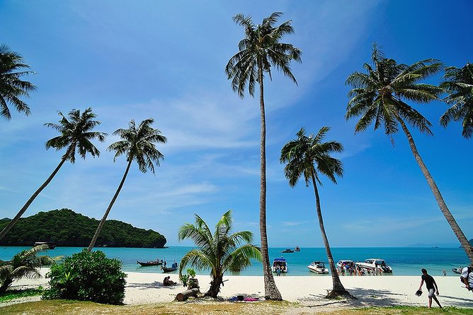 Koh Samui to Angthong Marine Park Cruise Tour By Red Baron Chinese Sailboat - Talay Nai blue lagoon snorkeling: when the water steals the show