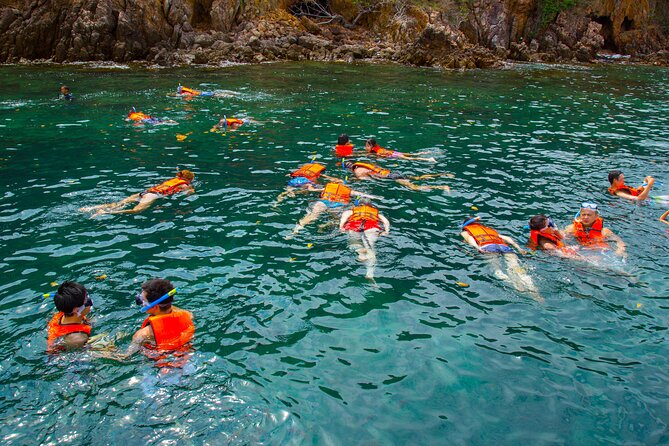 Koh Talu Full Day Shared Experience with Lunch - Snorkeling on restored coral: what to know before you go