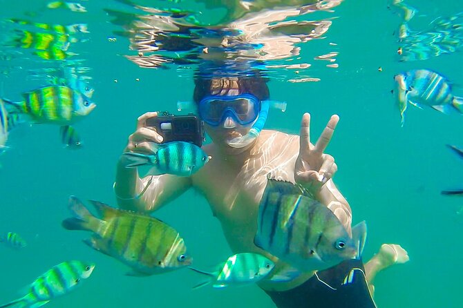 Koh Talu Full Day Shared Experience with Lunch - Price and value: is $113.49 fair for a 12-hour day?