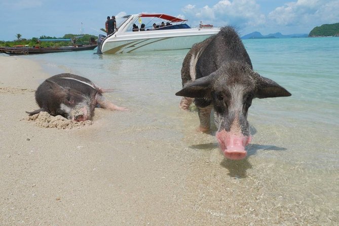 Koh Tan and Koh Madsum Snorkeling Trip By Speedboat From Koh Samui - Group size, boat type, and comfort on the day