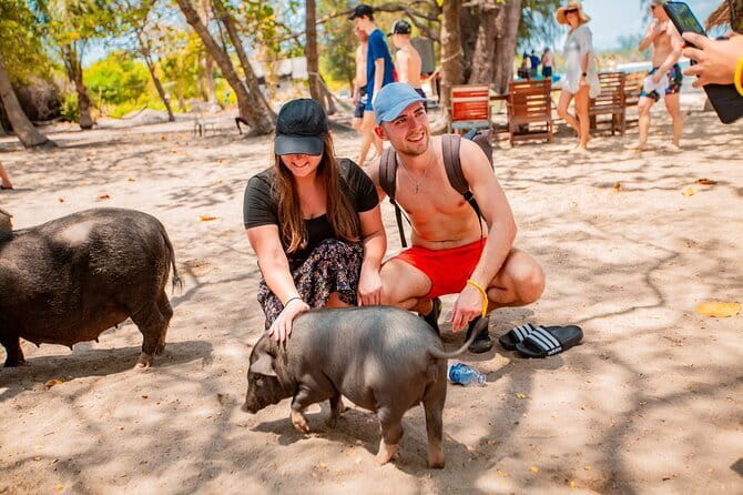 Koh Tan and Pig Island Half-Day Tour by Speed Catamaran - Key highlights at a glance
