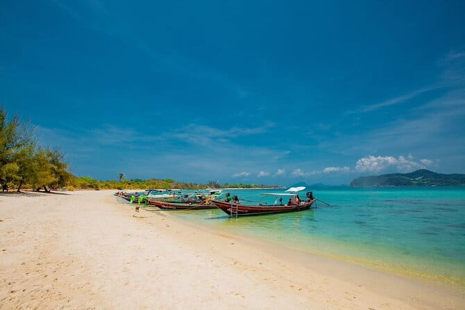 Koh Tan and Pig Island Half-Day Tour by Speed Catamaran - Real-world expectations: weather, currents, and animal rules