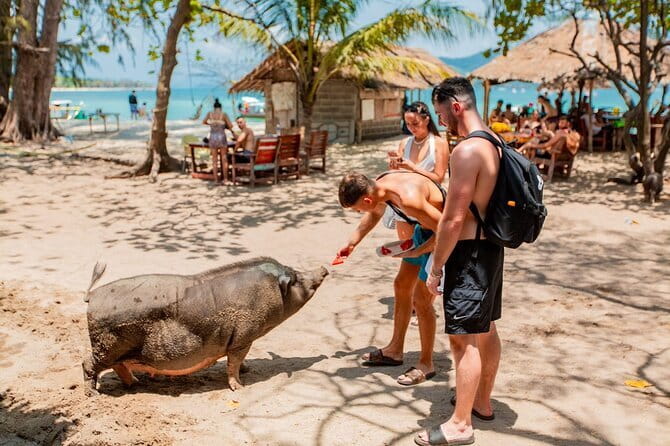 Koh Tan and Pig Island Half-Day Tour by Speed Catamaran - Pig Island (Koh Madsum) swim time with the pigs
