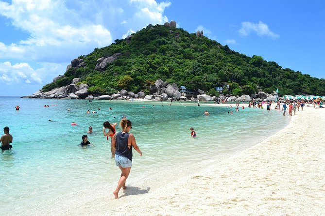 Koh Tao and Koh Nang Yuan Snorkeling Trip By Speedboat From Koh Samui - Koh Tao Snorkeling: What You’ll Actually See in Mamuang, Hin Wong, and Sairee