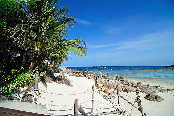 Koh Tao and Koh Nang Yuan Speedboat Tour from Koh Samui - What the Speedboat Day Feels Like (and How to Plan Your Energy)