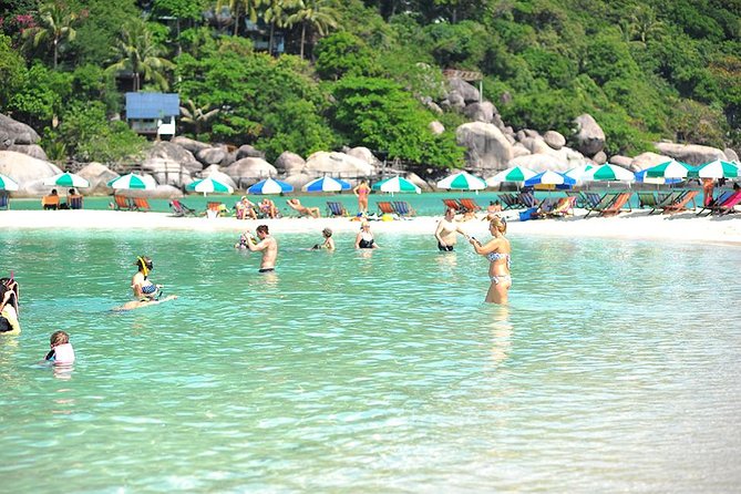 Koh Tao and Koh Nang Yuan Speedboat Tour from Koh Samui - Should You Book This Koh Tao and Koh Nang Yuan Tour From Koh Samui?