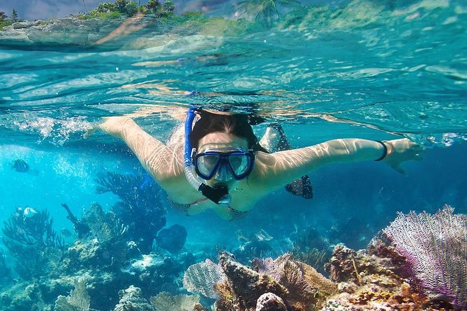 Koh Tao and Koh Nangyuan Snorkeling Tour by Speedboat from Ko Samui - Key Highlights to Know Before You Go