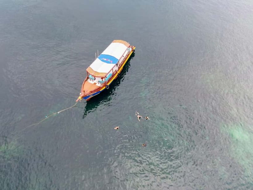 Koh Tao: First Light Snorkel Adventure with Oxygen Tours - Key things to know before you go