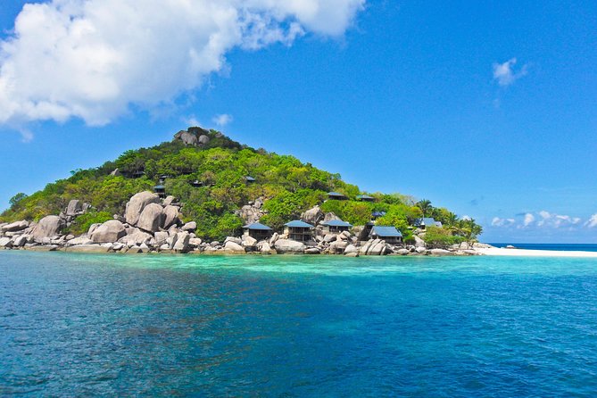 Koh Tao & Koh Nangyuan by Speed Boat (Snorkeling trip from Koh Samui) - Morning logistics at Bangrak Seatran Pier (and why it matters)