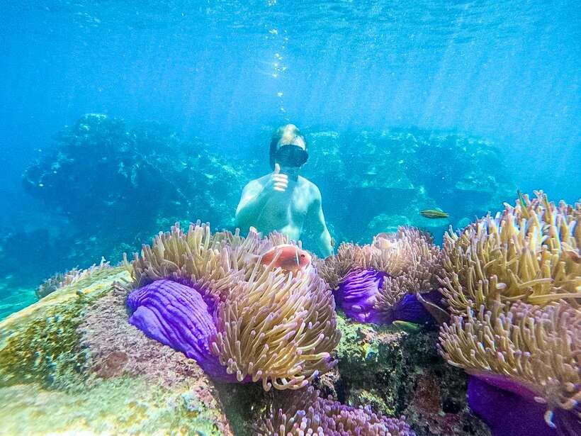 Koh Tao: Koh Nangyuan & Hidden Bays Snorkeling Tour w/ Lunch - Mango Bay lunch break: good food, good refuel, not just a pause