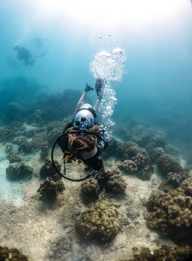 Koh Tao: PADI Premium Open Water Diver Course - Who should book this Koh Tao Open Water course