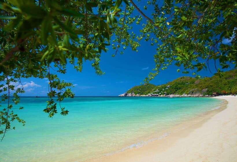 Koh Tao: Premium Snorkel Tour to Koh Nangyuan Bays by Oxygen - Tao Thong Bay: coral-focused final stop