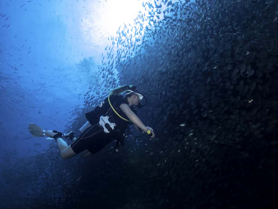 Koh Tao: Private Basic Diver Experience with 2 Dives - Why Koh Tao Works So Well for Scuba Beginners