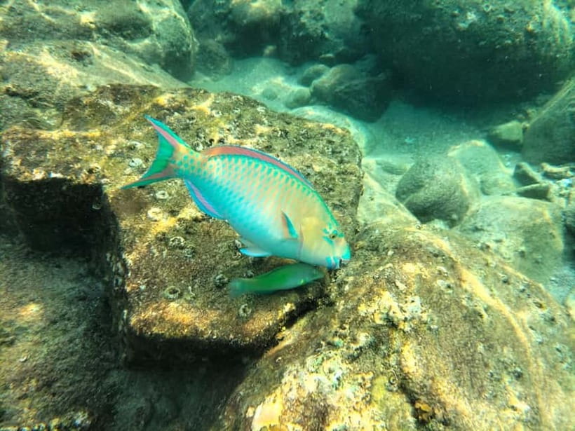 Koh Tao: Snorkeling and Sunset Tour - Should You Book the Koh Tao Snorkeling and Sunset Tour?