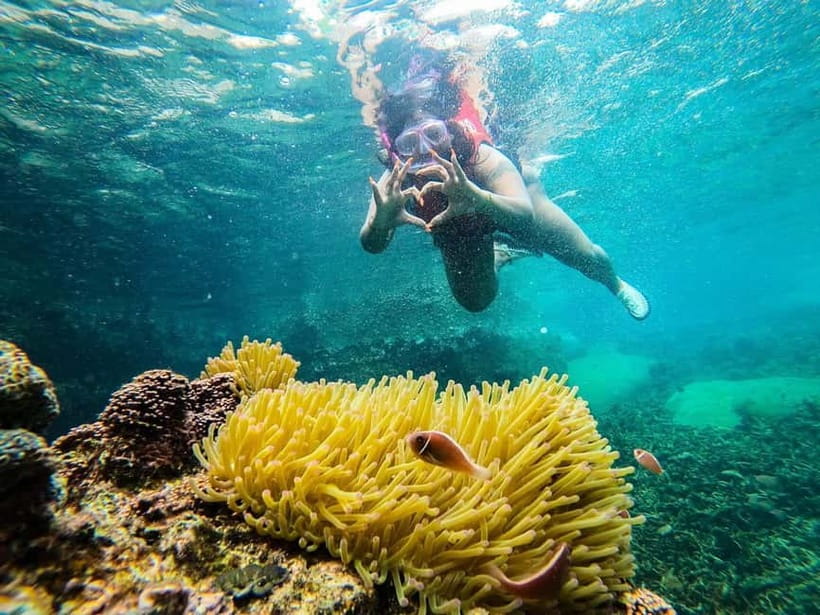 Koh Tao: Underwater Gems, Island Hopping & Snorkel Adventure - Aow Leuk: low-tide-friendly snorkeling and bright beach scenery